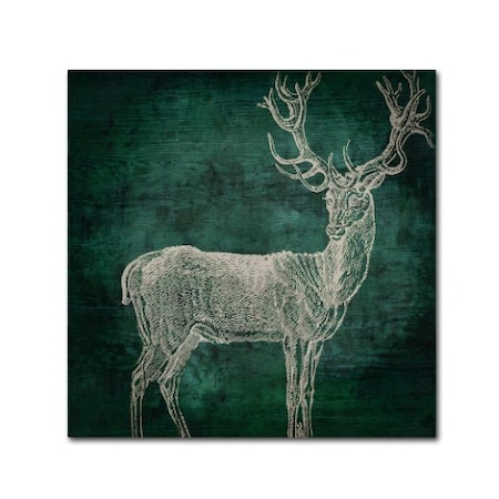 Color Bakery 'Emerald Deer' Canvas Art,14x14